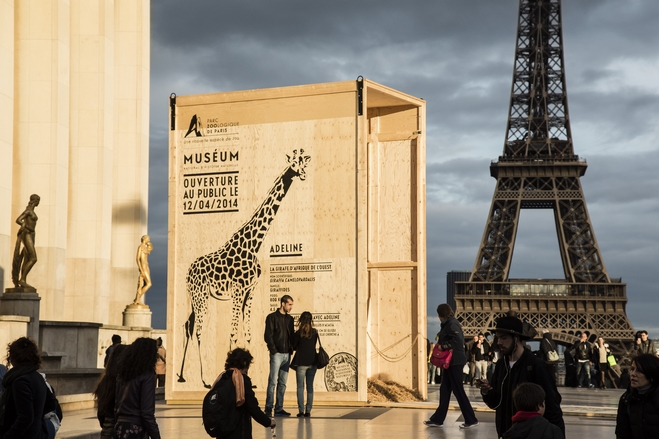 Les Animaux Sauvages sont de retour ! Les Animaux Sauvages sont de retour !