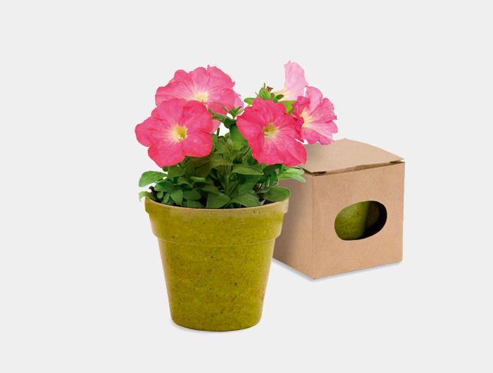Pot de fleurs Publicitaire biodégradable - ECOPOT3