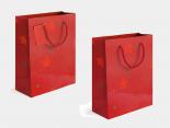 Petit Sac Cadeau Publicitaire Rouge - 18 x 23 x 8 cm - ETOILES