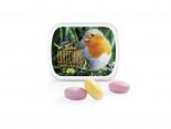 Bonbons Mentos Publicitaire fruits - MTPB65