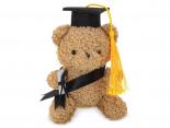 Petit Ourson DIPLOME - EN COURS DE REDACTION