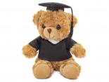Ours Peluche DIPLOME - EN COURS DE REDACTION