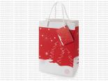 Sac Cadeau en papier avec cordelette motif Noel - Petit