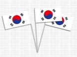 Drapeau Corée du Sud - Drapeau coréen Pas Cher Papier