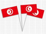 Drapeau Tunisie - Drapeau tunisien Pas Cher Papier