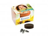 Kit graines Publicitaire pot graines - GRPT07